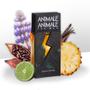 Imagem de Animale a For Men EDT Pefume Masculino 100ml