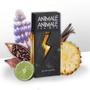 Imagem de Animale Animale For Men 100ml Masculino