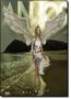 Imagem de Anjos - JUST EDITORA