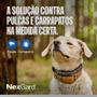 Imagem de Antipulgas e Carrapatos Nexgard 68mg Cães 10,1 a 25 Kg - c/ 3 Tabletes