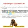 Imagem de Antipulgas E Vermifugo Canis Fullspot Cães 41 A 60kg 6,00ml