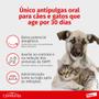 Imagem de Antipulgas Elanco Comfortis 140mg Caes E Gatos