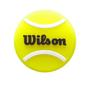 Imagem de Antivibrador roland garros paris dampener wilson