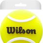 Imagem de Antivibrador Wilson Rg Tennis Ball Dampener