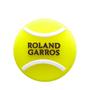 Imagem de Antivibrador Wilson Roland Garros Vibration Dampener