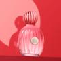 Imagem de Antonio Banderas The Icon Splendid Eau De Parfum - Perfume Feminino 50ml