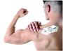 Imagem de Aparelho Fisioterapia Massagem Prático Para Alívio Das Dores TENS Gtech