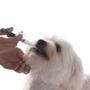 Imagem de Aplicador De Comprimidos Alimentador Cães Gatos Pet