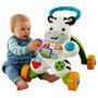 Imagem de Apoiador Zebra Fisher-price Dlh48