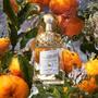 Imagem de Aqua Allegoria Mandarine Basilic Guerlain  Perfume Feminino  Eau de Toilette