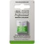 Imagem de Aquarela Pastilha Profissional Winsor 503 PermSap Green