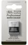 Imagem de Aquarela Pastilha Profissional Winsor Ivory Black 331