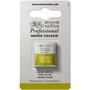 Imagem de Aquarela Prof Winsor &amp Newton Pastilha 447 Olive G