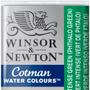 Imagem de Aquarela Winsor & Newton Cotman Pastilha 329 Intense Green (Phthalo Green)