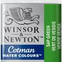 Imagem de Aquarela Winsor & Newton Cotman Pastilha 599 Sap Green