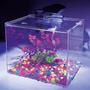 Imagem de Aquário 10 Litros com Filtro, LED e Decoração AquaFácil Kids Acrílico