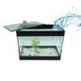 Imagem de Aquario Beteira 2 Litros Completo Com Pedra Planta Anti- Cloro Ração