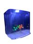 Imagem de Aquario peixe Betta Completo Sunsun Filtro luminaria BIVOLT 4Litros