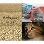 Imagem de Areia higiênica mimo cat tradicional eco friendly grãos 4kg - ARGI PETI