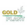 Imagem de Argila de modelar escolar artesanato 10x800g - Gold Plant