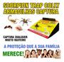Imagem de Armadilha Para Escorpião C/ 30 Unid - Scorpion Trap Colly