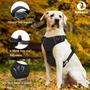 Imagem de Arnês para cães Bokelai No Pull ajustável para cães XL