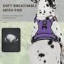 Imagem de Arnês para cães FURRYFECTION Reflective Oxford Purple Tamanho L