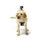 Imagem de Arnês para cães GoPro Fetch Official Mount para GoPro