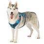 Imagem de Arnês para cães Outward Hound Boulder Adventure Turquoise L