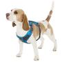 Imagem de Arnês para cães Outward Hound Boulder Adventure Turquoise S