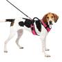 Imagem de Arnês para cães PetSafe EasySport, peitoral acolchoado ajustável para cães com alça de controle e tubulação reflexiva, dos fabricantes do arnês Easy Walk, rosa, grande