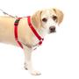 Imagem de Arnês para cães PetSafe Sure-Fit Training Aid Tactical Red M