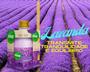 Imagem de Aromatizador De Ambientes Aroma Lavanda 250ml Alop