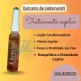 Imagem de Arovitel Extrato De Jaborandi 2 Ml - Kit C/ 15 Ampolas