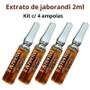 Imagem de Arovitel Extrato De Jaborandi 2ml - Kit Com 4 Ampolas