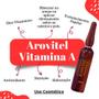 Imagem de Arovitel Vitamina A 5ml - Kit Com 6 Ampolas P/ Pele E Cabelo