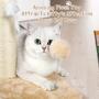 Imagem de Arranhador de Gato ANWA 32cm - Com Brinquedos para Gatos Domésticos
