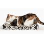 Imagem de Arranhador de Gato Pet Cama Brinquedo Felino Antis Estress Resistente Relaxamento Animal de Estimaçao Diversao