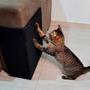 Imagem de Arranhador p/ Gatos Davos Protetor Canto Sofá Lado Esquerdo