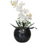 Imagem de Arranjo 1 Orquídea Real Branca Delicada Vaso Preto Luxo