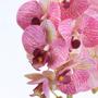 Imagem de Arranjo 4 Orquídeas Artificiais Rosa em Vaso de Vidro Nara