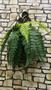 Imagem de Arranjo artificial folhagem pendente samambaia silicone com vaso arandela muro inglês decoração jardim vertical