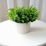 Imagem de Arranjo ceramica branco com mini eucaliptos verdes 16ax18l/cm