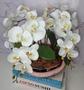 Imagem de Arranjo Com 4 Orquídeas Branca Vaso Rose 28cm