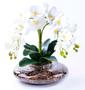 Imagem de Arranjo Com 4 Orquídeas Brancas Silicone 3D - Toque Real Em Terrário