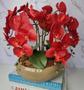 Imagem de Arranjo Com 4 Orquídeas Vermelha Vaso Fendi 28cm