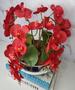 Imagem de Arranjo Com 4 Orquídeas Vermelho Vaso Prata 28cm