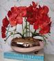 Imagem de Arranjo Com 4 Orquídeas Vermelho Vaso Rose 28cm
