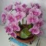 Imagem de Arranjo Com 4 Orquídeas Violeta Vaso Cobre 28cm