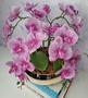 Imagem de Arranjo Com 4 Orquídeas Violeta Vaso Dourado 28cm